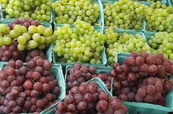 Victor Farmers' Market - Victor NY Farm Market